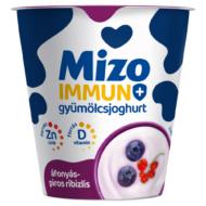 Immun+joghurt 125g  áfonya f.ribizli Mizo