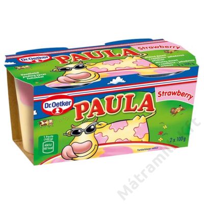 Puding PAULA VANÍLIA-eperfoltos 2*100g